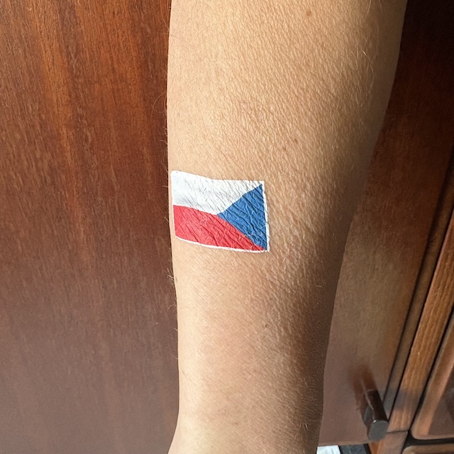 Vlajka_CR_aplikovana.jpeg a