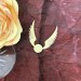 IMG_0562.jpeg a
