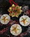Origami květinová koule zlatá s hvězdičkami a